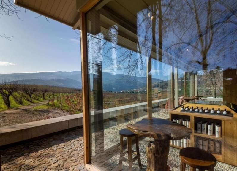 Das Bild zeigt eine Außensitzgelegenheit mit Blick auf Weinberge, die durch eine Glaswand von einem Innenraum mit Holztischen und Flaschen getrennt ist.