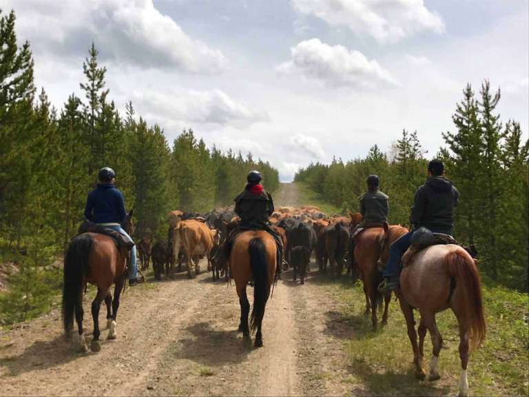 Eine Gruppe von Menschen reitet auf Pferden auf einem Feldweg