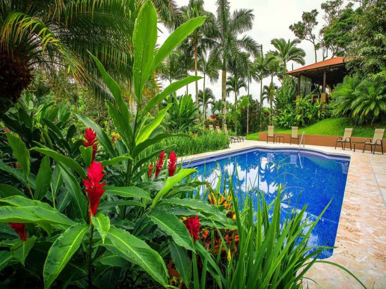 Ein großer Swimmingpool umgeben von tropischen Pflanzen und Bäumen