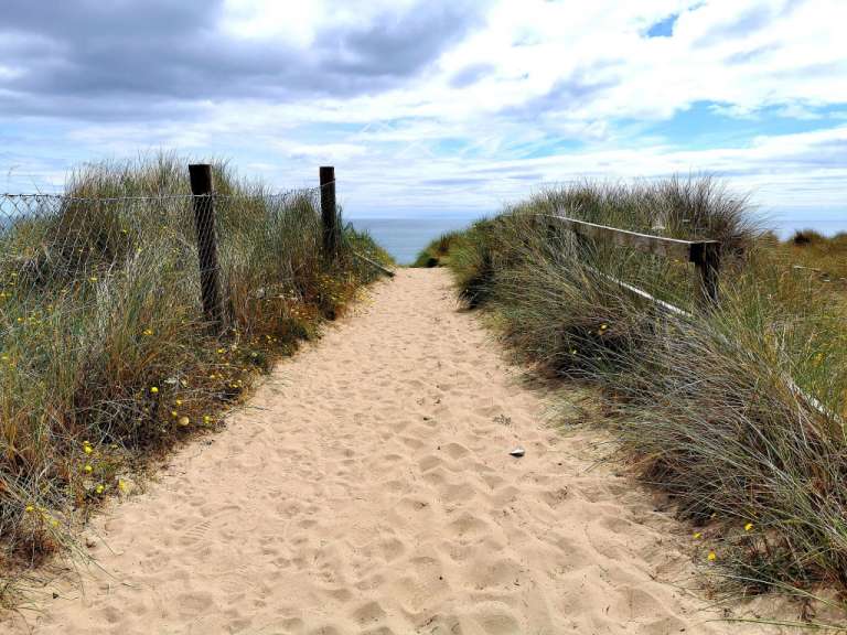 Ein Sandweg führt durch grasbewachsene Dünen zum Meer.