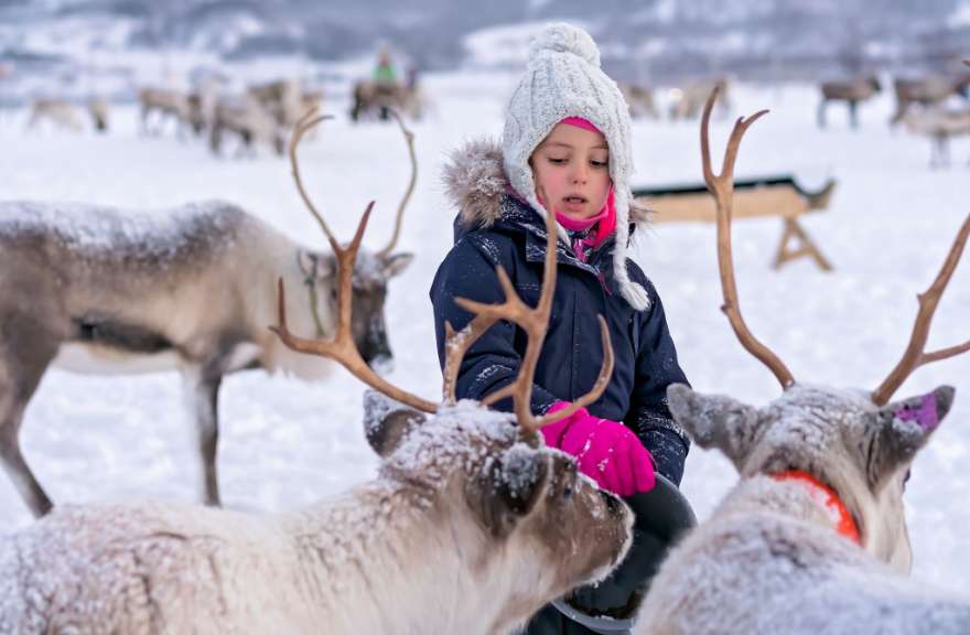Ein kleines Mädchen füttert ein Rentier im Schnee