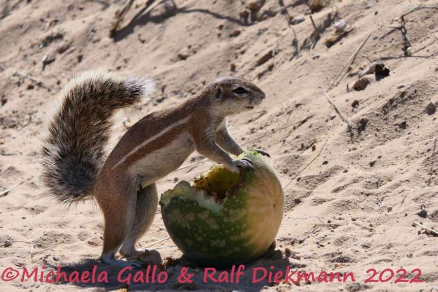 Michaela & Ralf