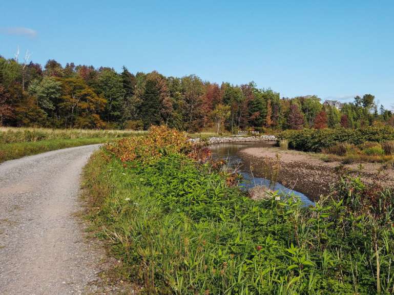 Ein Feldweg mit einem Fluss in der Mitte