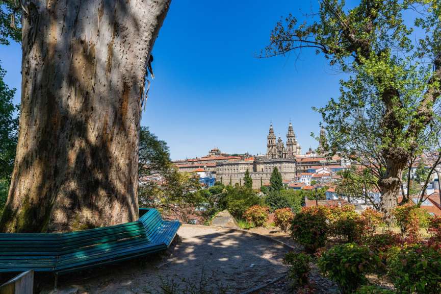 Eine Bank sitzt unter einem Baum mit einer Stadt im Hintergrund