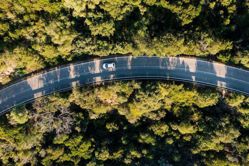Ein weißes Auto fährt auf einer kurvigen Straße durch einen Wald