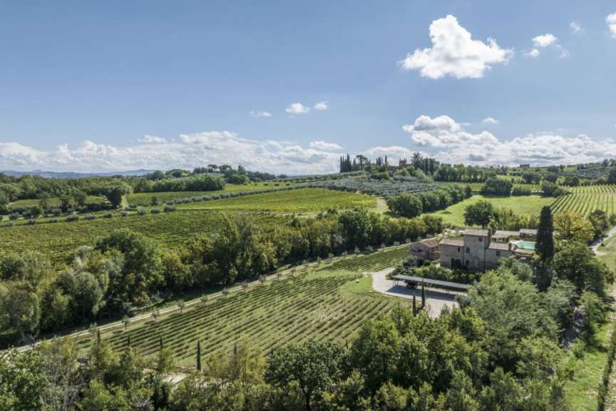 Eine Luftaufnahme eines Weinberges mit einem Haus im Hintergrund