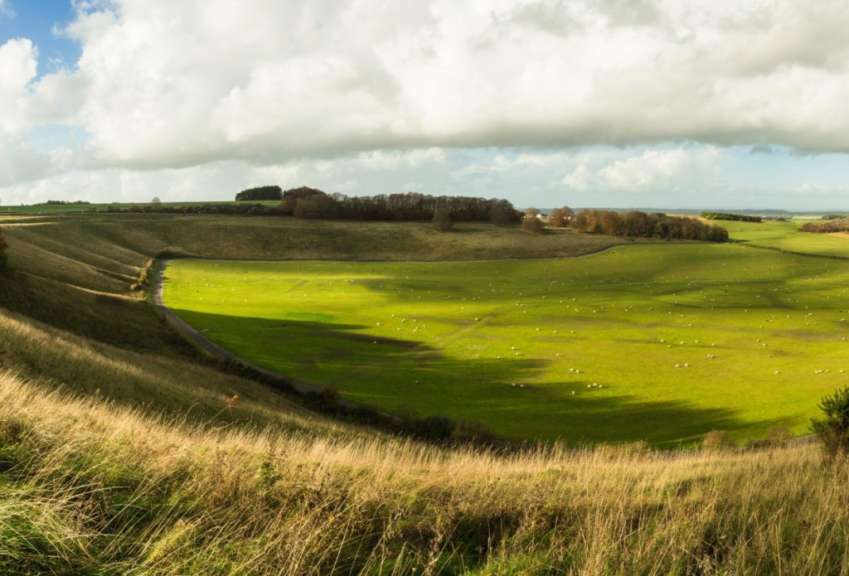 Ein Feld mit Schafen und einer Straße im Hintergrund
