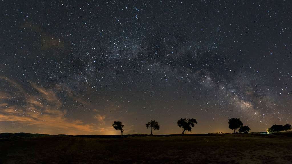 Drei Bäume stehen in einem Feld unter einem Sternenhimmel