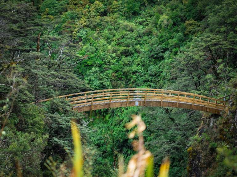 Eine Holzbrücke überspannt eine Schlucht in einem dichten, grünen Wald.
