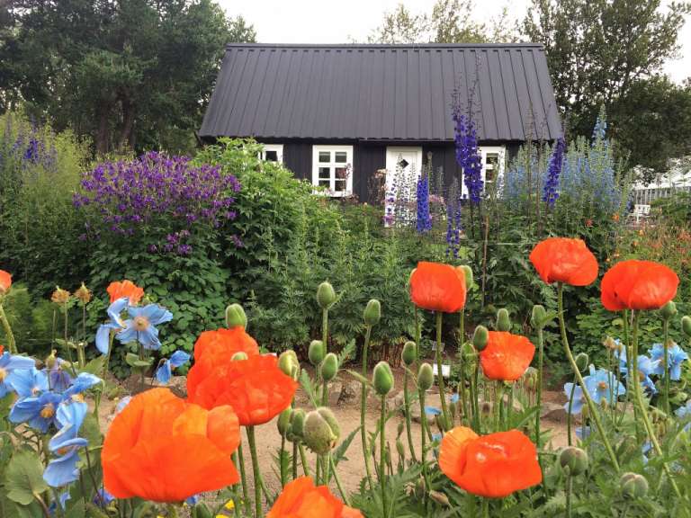 Ein Garten mit roten und blauen Blumen und einem schwarzen Haus im Hintergrund