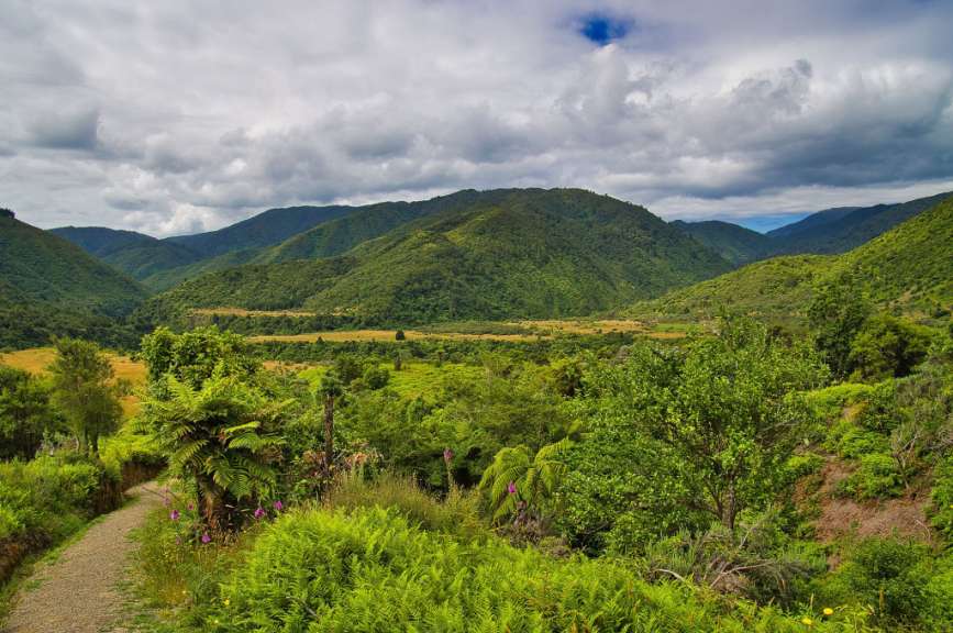 Ein Feldweg führt durch eine grüne Berglandschaft