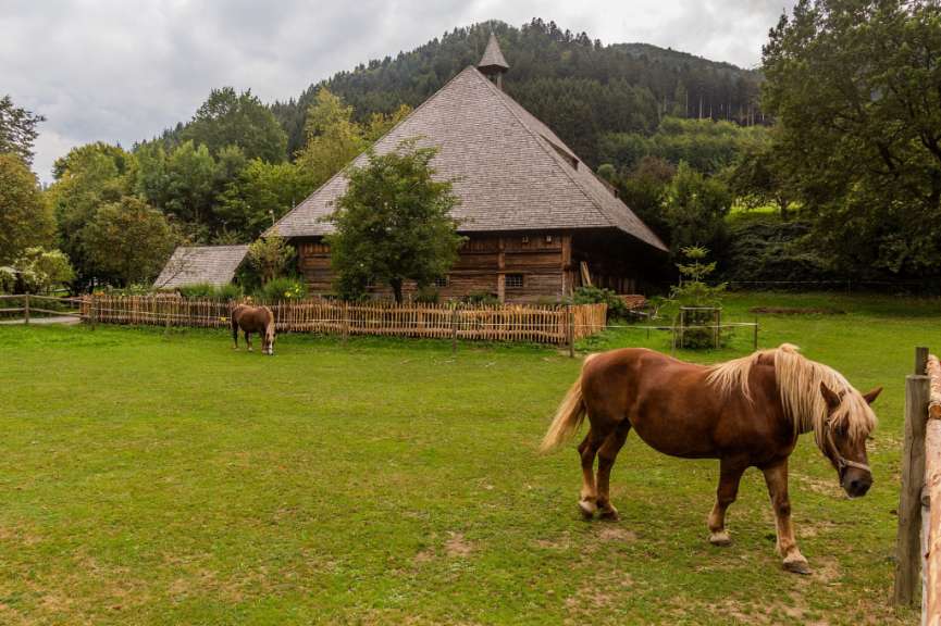 Ein braunes Pferd steht in einem Feld vor einem hölzernen Gebäude