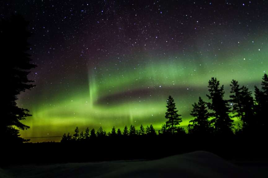 Das Nordlicht scheint über einem schneebedeckten Wald
