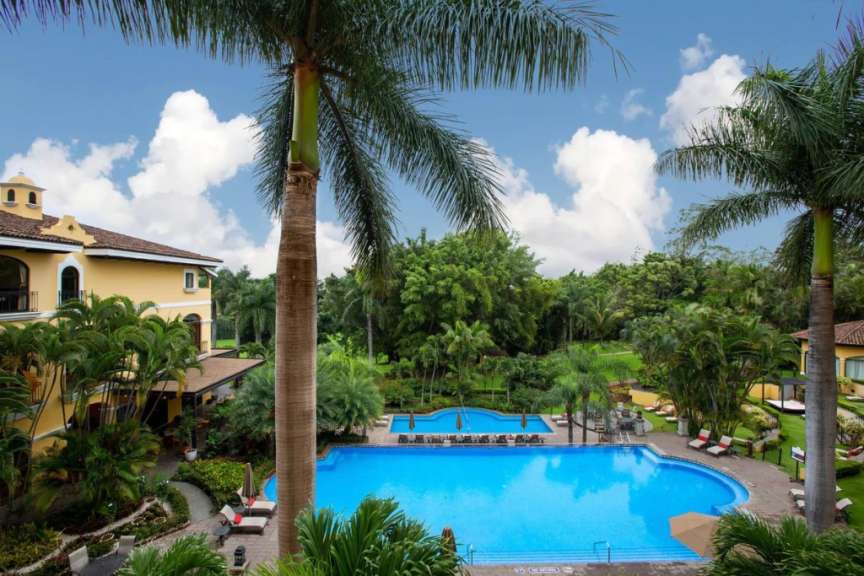 Ein großer blauer Pool in einem tropischen Garten