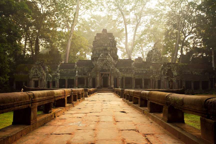 Ein Steinweg führt zu einem Tempel in einem nebligen Wald