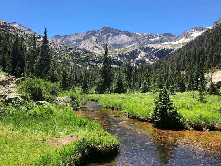 Ein klarer Bach schlängelt sich durch eine grüne Wiese, gesäumt von Nadelbäumen und beeindruckenden felsigen Bergen unter einem strahlend blauen Himmel.