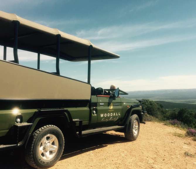 Ein grüner jeep mit dem schriftzug woodall auf der seite