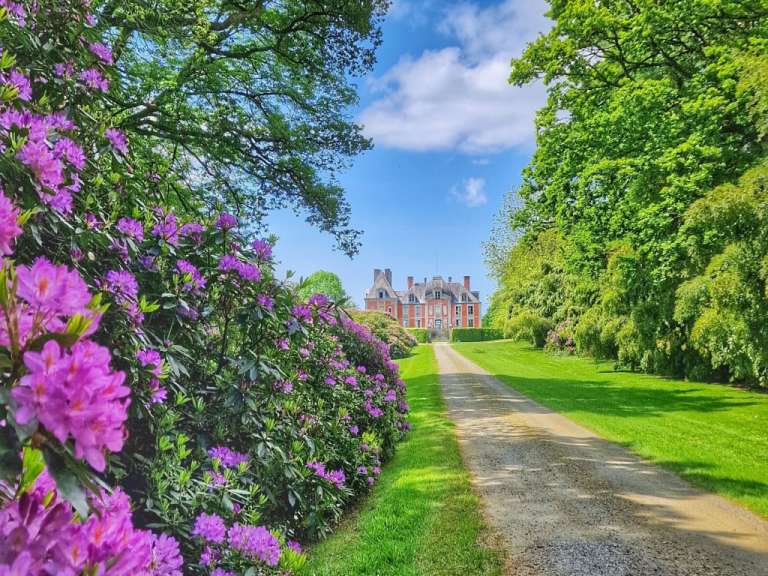 Ein geschotterter Weg führt durch eine grüne Parklandschaft mit blühenden Rhododendronsträuchern auf ein herrschaftliches Schloss zu.