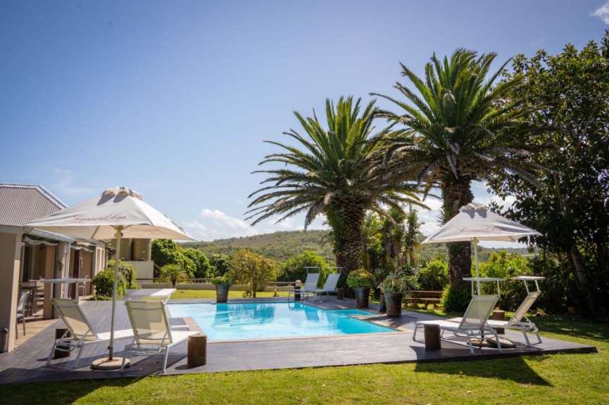 Ein Pool mit Liegestühlen und Sonnenschirmen umgeben von Palmen