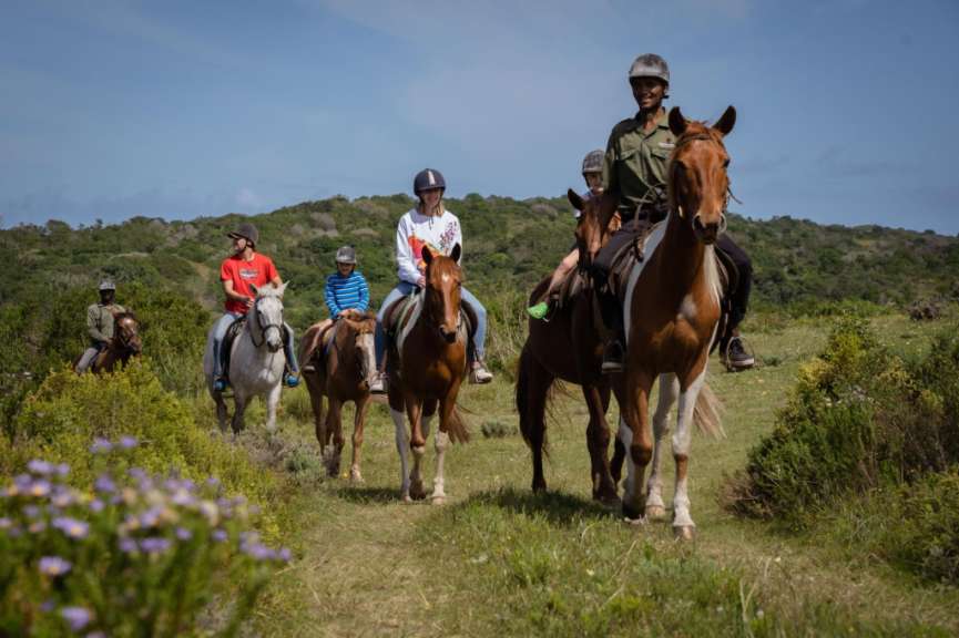 Eine Gruppe von Menschen reitet auf Pferden in einem Feld
