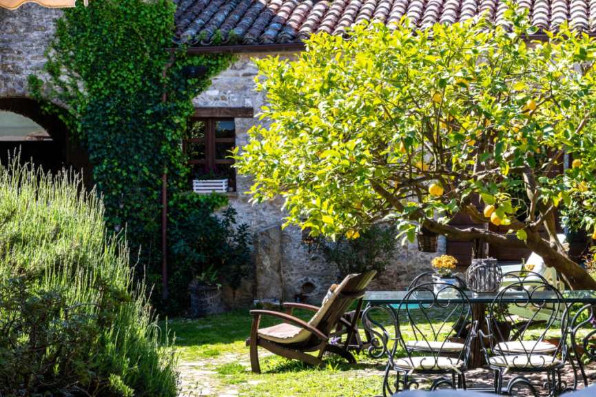 Ein Tisch und Stühle in einem Garten neben einem Zitronenbaum