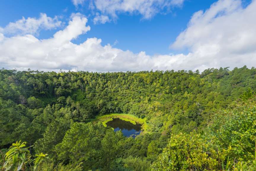 Ein Teich inmitten eines Waldes mit einem blauen Himmel im Hintergrund