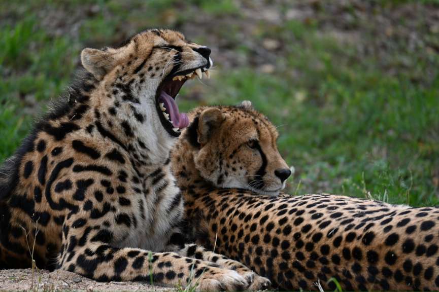 Carsten und Melanie