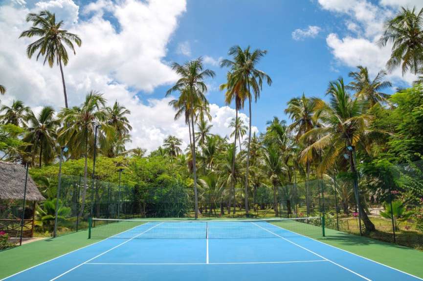 Ein Tennisplatz inmitten von Palmen an einem sonnigen Tag