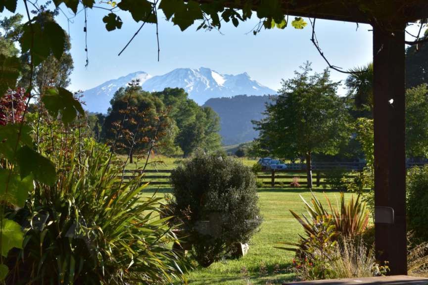 Ein Blick auf einen schneebedeckten Berg aus einem Garten