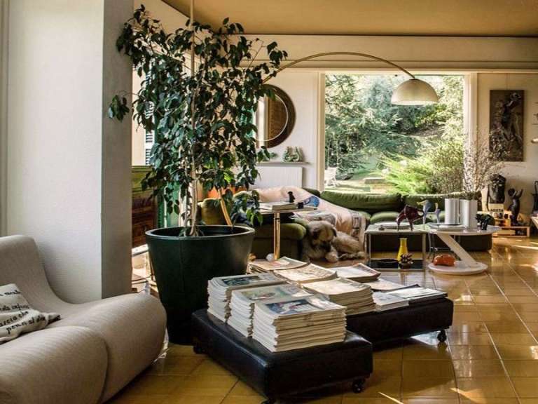 Ein Wohnzimmer mit vielen Büchern und einer Pflanze