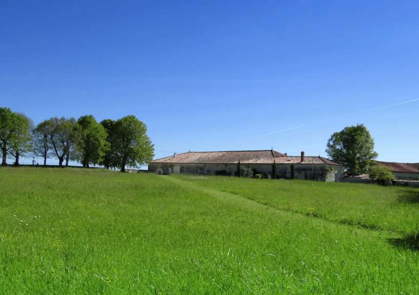 Ein riesiges grünes Feld mit einem Gebäude im Hintergrund