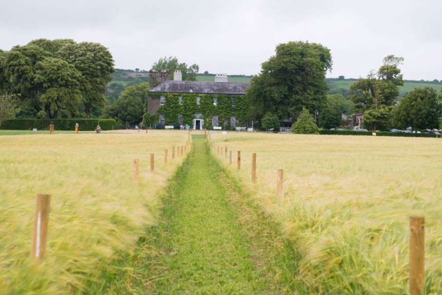 Ein Feld mit einem großen Gebäude im Hintergrund