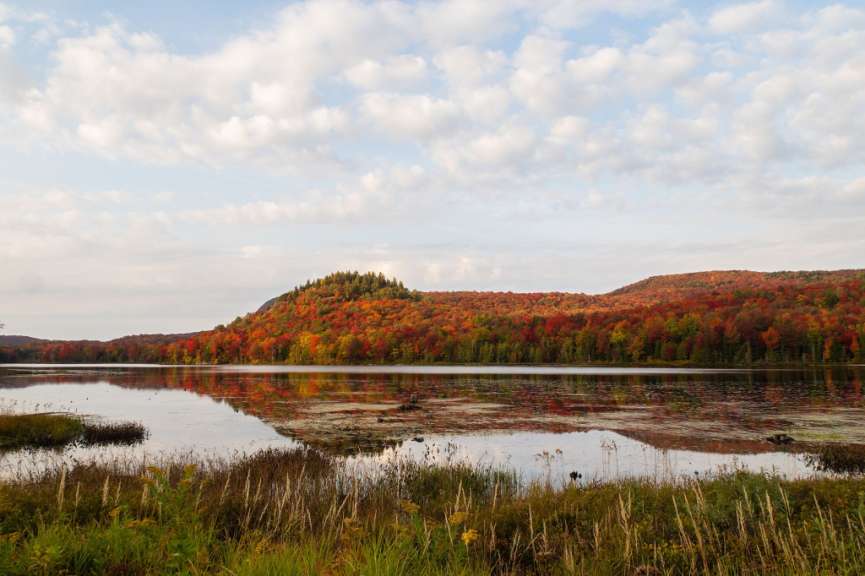 Ein See mit Bäumen im Hintergrund und einem Berg im Hintergrund
