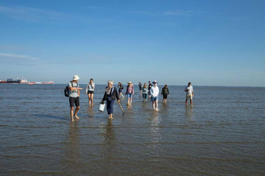 Mit Eimer und Schippe ausgestattet: unser Guide Elfie – ©Barbara Harbecke Eine Gruppe von Menschen geht im Wasser spazieren