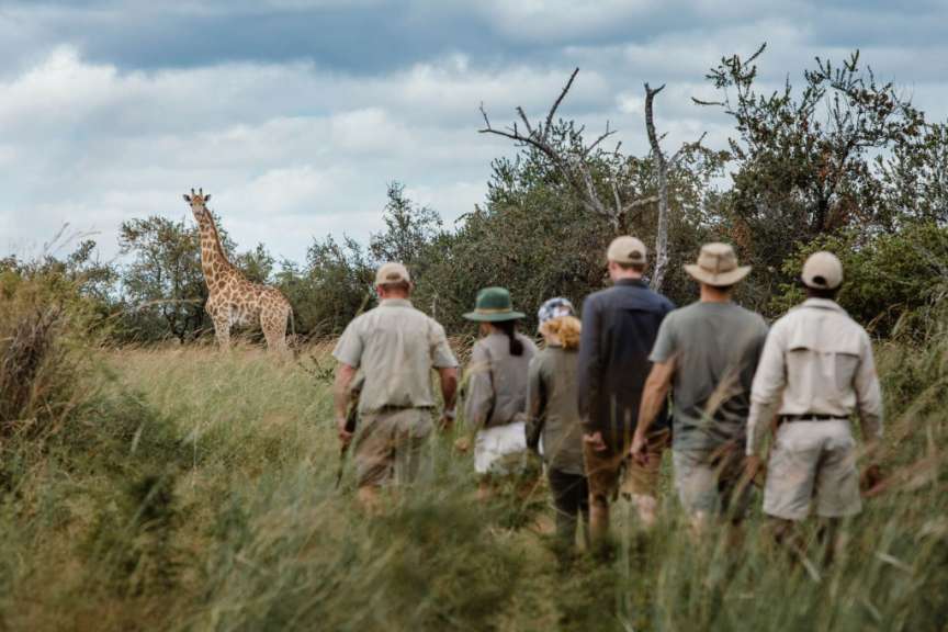 Eine Gruppe von Menschen geht auf einem Feld mit einer Giraffe im Hintergrund