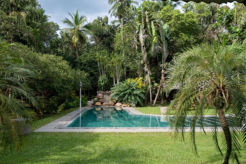 Ein großer Swimmingpool umgeben von Palmen und Bäumen