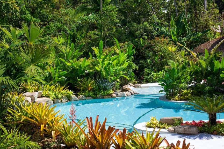Ein großer Swimmingpool inmitten eines tropischen Gartens