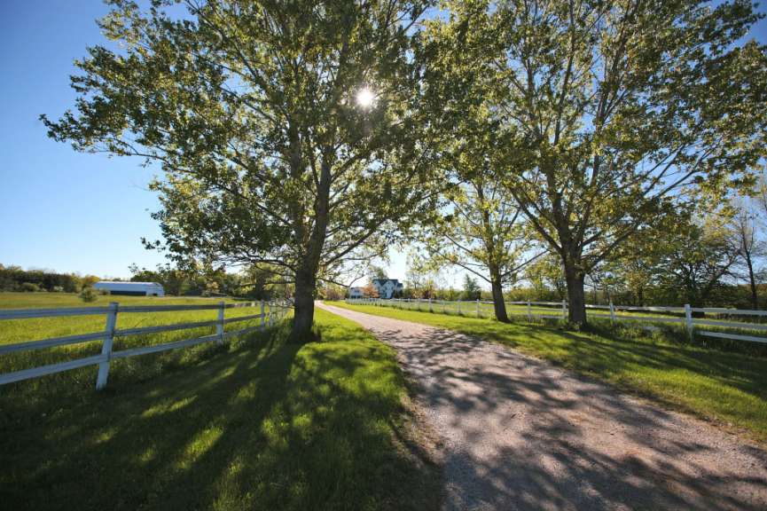 Ein Feldweg mit Bäumen und einem weißen Zaun