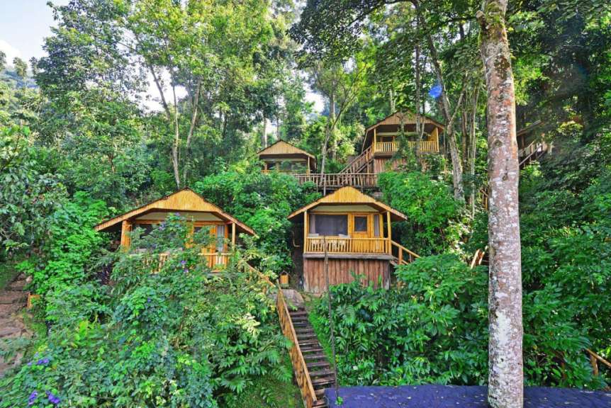 Mehrere Holzbungalows sind auf einem mit dichtem Grün bewachsenen Hang in einem Wald angeordnet, die durch Holztreppen verbunden sind.