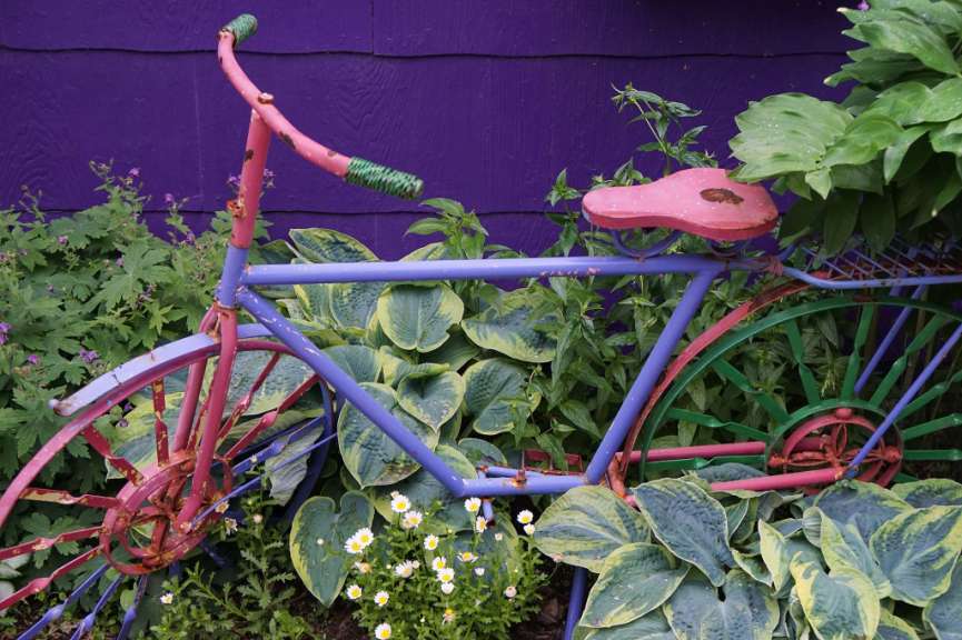 Ein buntes Fahrrad sitzt in einem Blumenbeet
