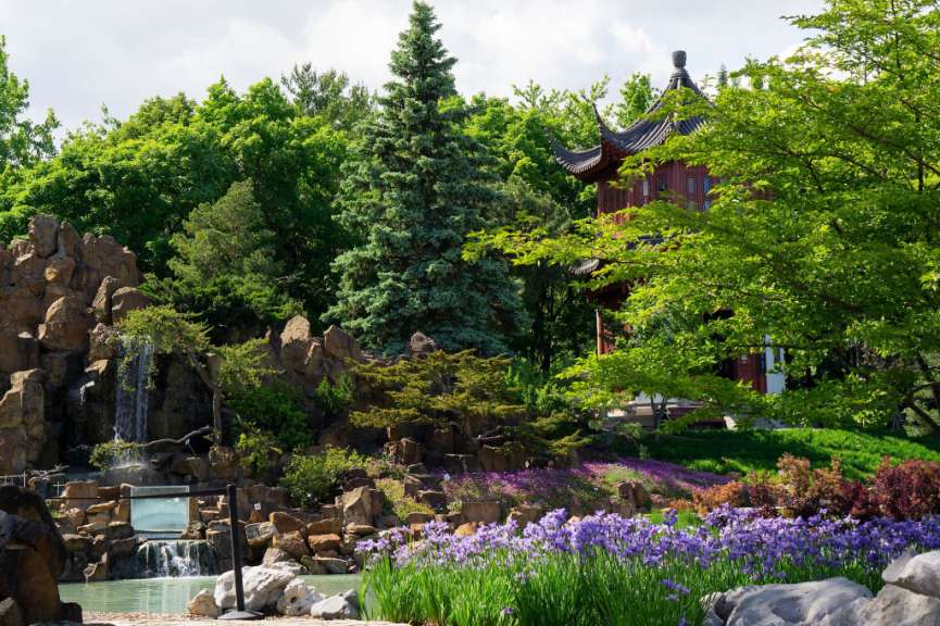Ein Wasserfall in einem Park mit lila Blumen und Bäumen