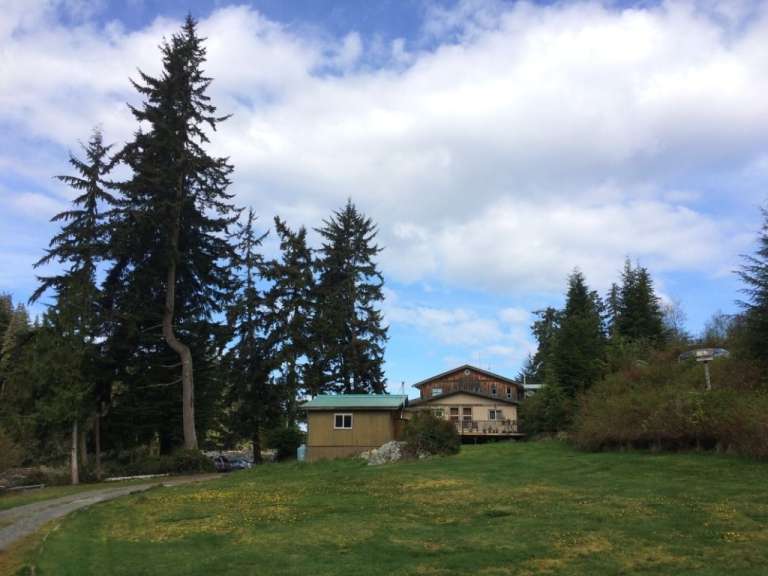 Ein kleines Haus steht auf einer grünen Wiese