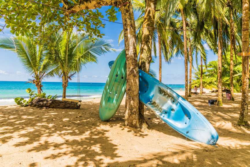 Ein blaues Kajak hängt an einem Baum am Strand