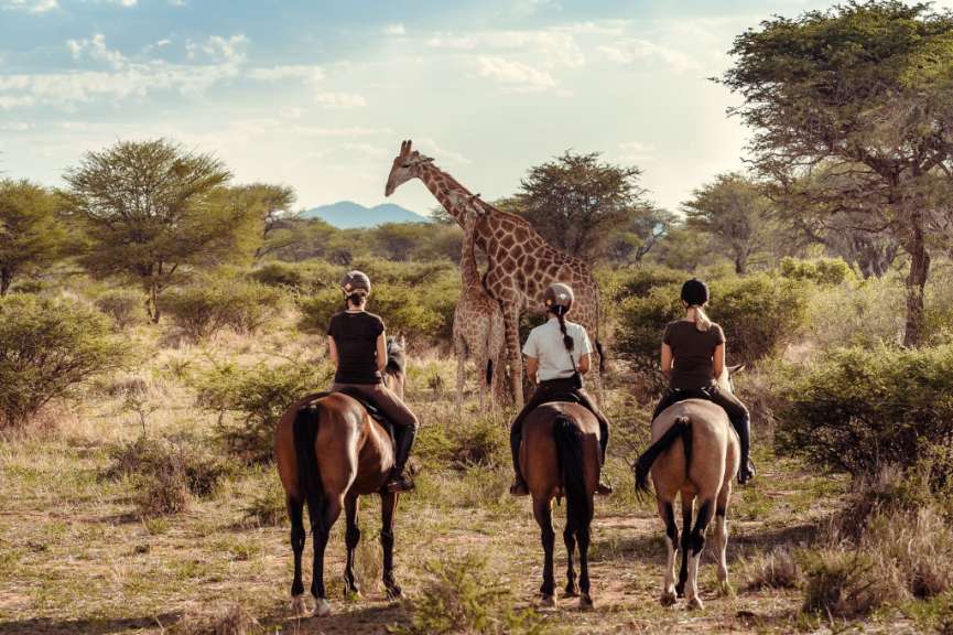 Eine Gruppe von Menschen, die auf Pferden reiten und eine Giraffe beobachten