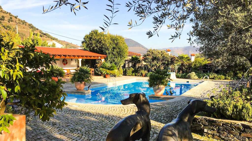 Zwei Statuen von Hunden stehen in der Nähe eines Swimmingpools
