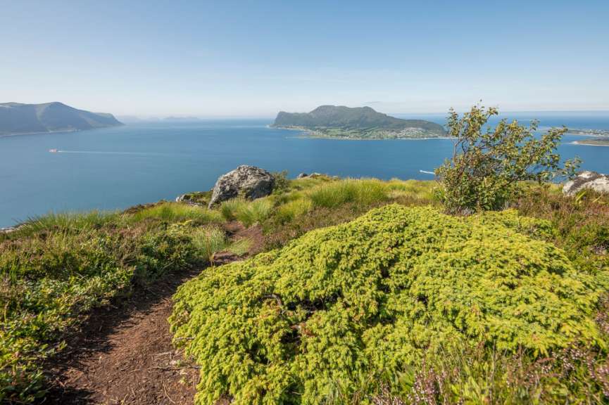 Aufstieg zum Sukkertoppen: Kajaktour & Wanderung ab Ålesund