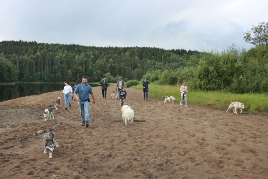 Eine Gruppe von Menschen geht mit ihren Hunden an einem Strand spazieren