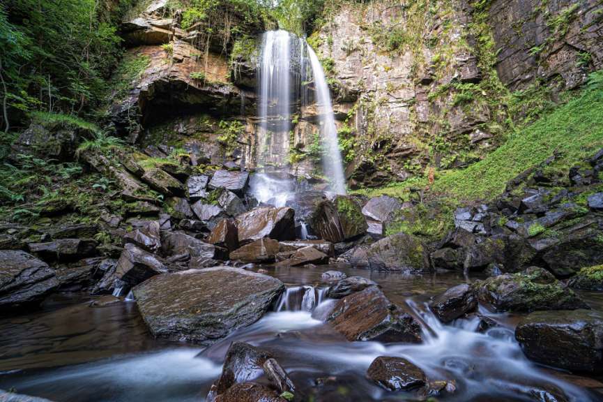 Ein Wasserfall inmitten eines üppigen grünen Waldes