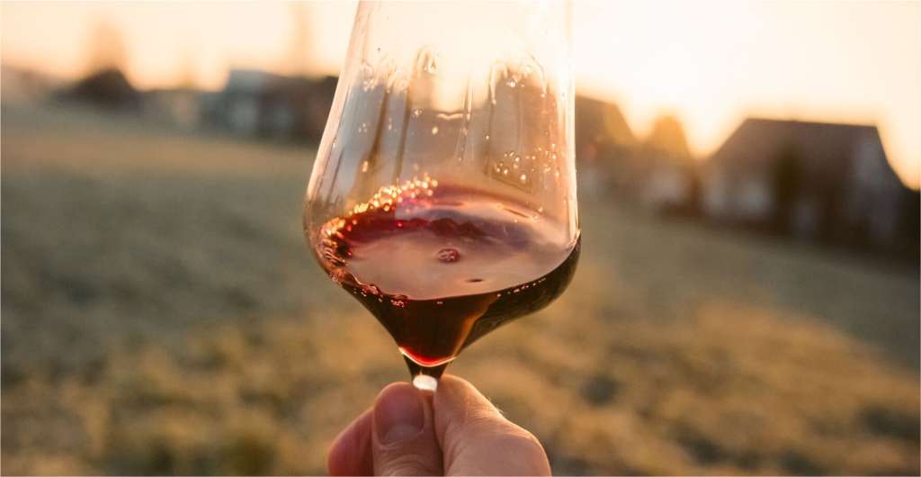 Eine Person hält ein Glas Wein in der Hand