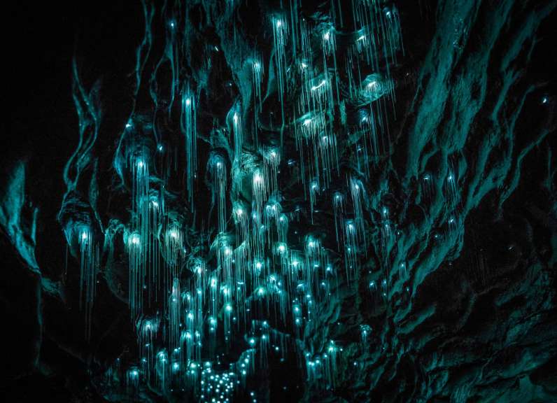 Eine Höhle mit vielen blauen Lichtern, die von der Decke hängen
